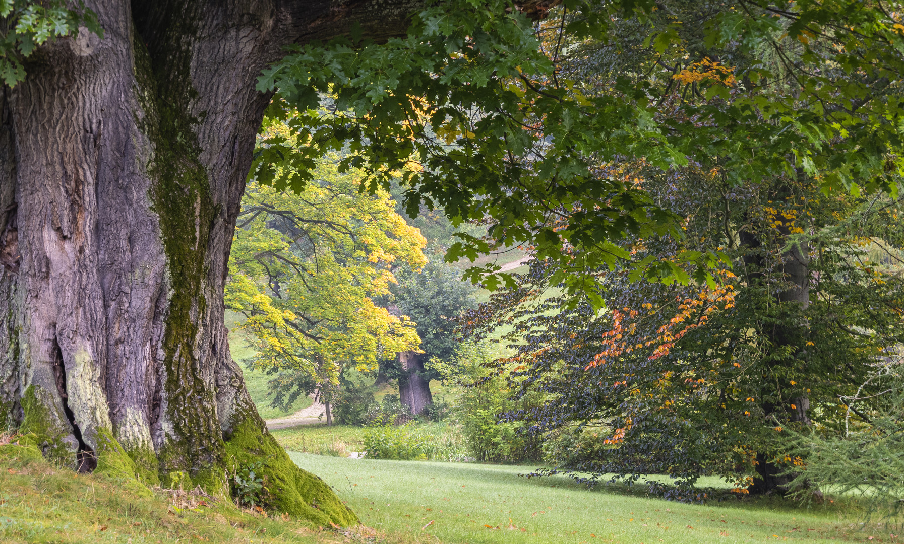 Englischer Garten im Schloss Stonsdorf