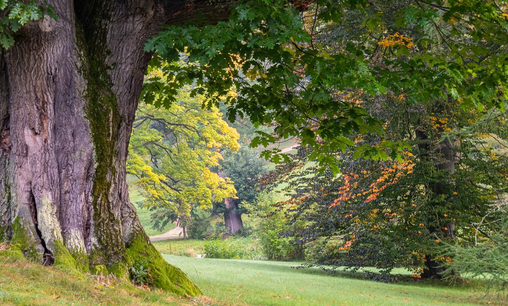 Englischer Garten im Schloss Stonsdorf