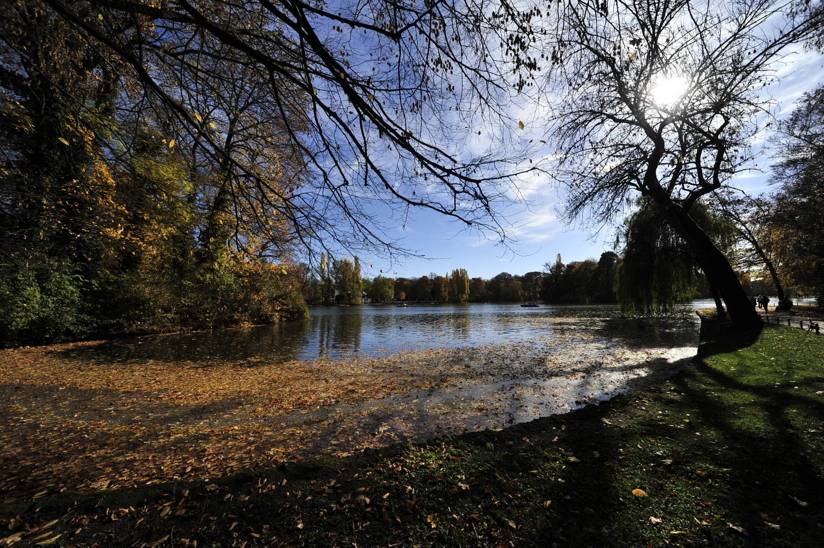 Englischer Garten in München 2013