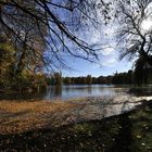 Englischer Garten in München 2013