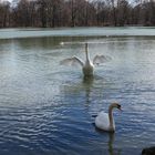 Englischer Garten in München, Kleinhesseloher See