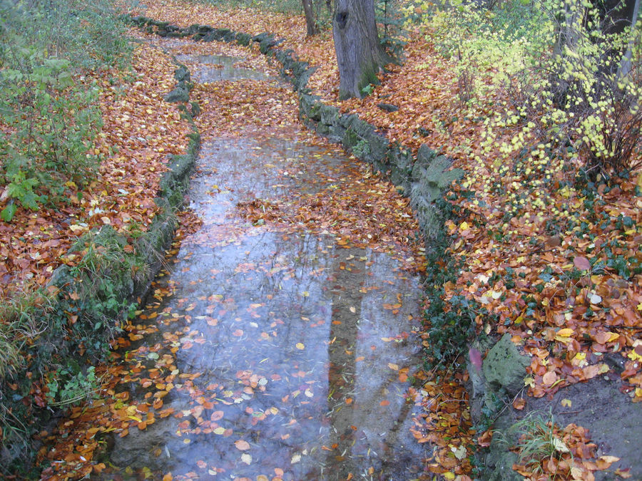 Englischer Garten - Kanal