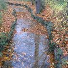 Englischer Garten - Kanal