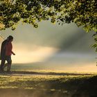 Englischer Garten München