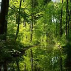 Englischer Garten München 2