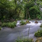 Englischer Garten München