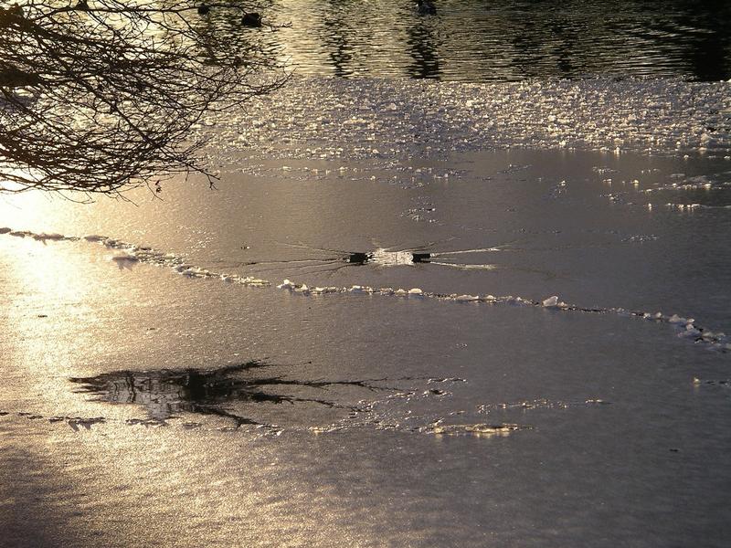 Englischer Garten München