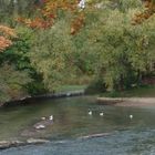 Englischer Garten, München