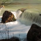 englischer Garten München