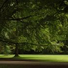 Englischer Garten, München