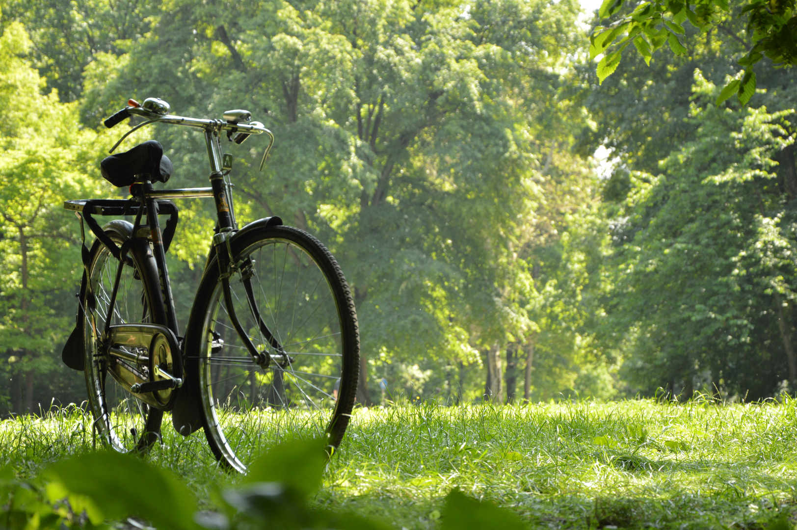 Englischer Garten - München