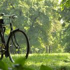 Englischer Garten - München