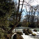 Englischer Garten München