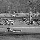 englischer Garten München