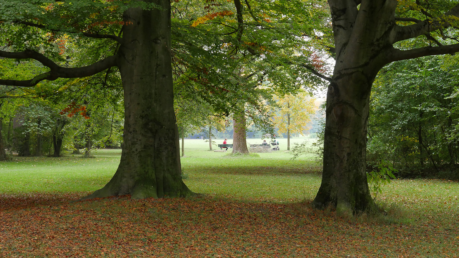 Englischer Garten München im Herbst