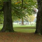 Englischer Garten München im Herbst