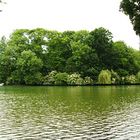 Englischer Garten München Insel in der nähe des Seecafes