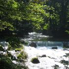 englischer Garten Munich