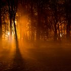 Englischer Garten Nacht