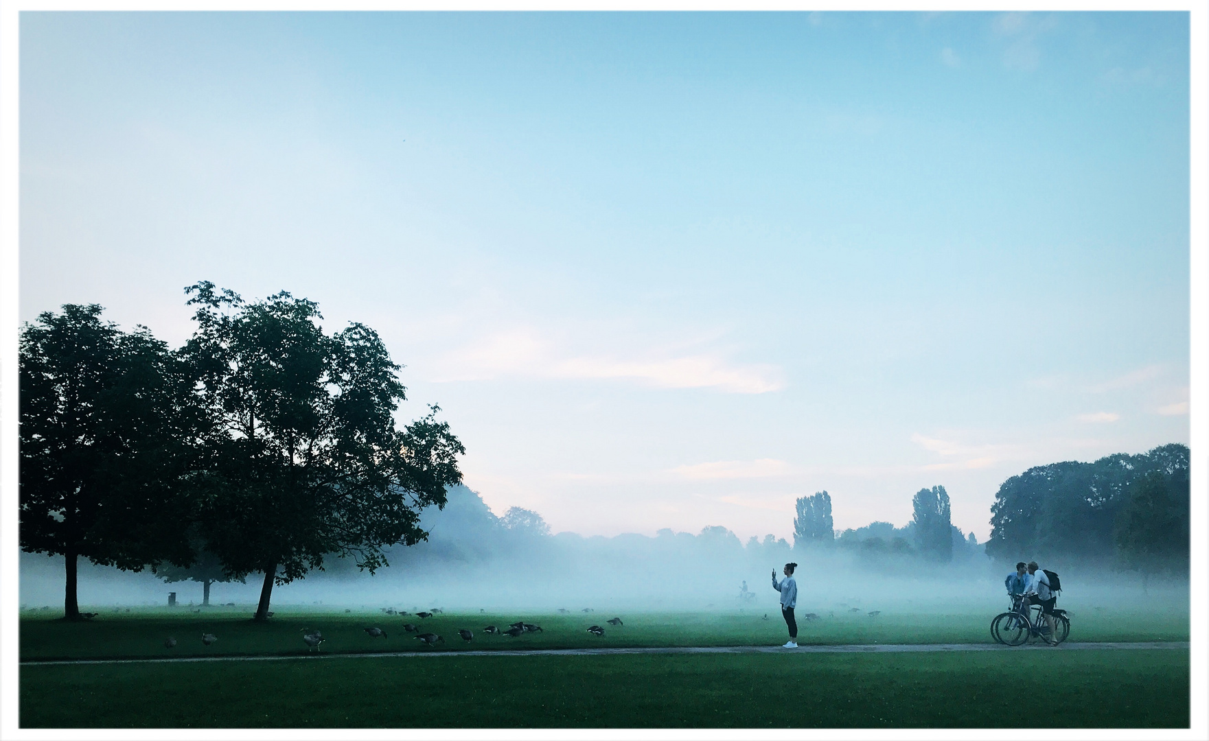 Englischer Garten - Nebel 