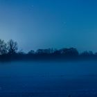 Englischer Garten Nebel