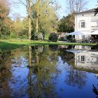 Englischer Garten / Park im Grünen in Basel