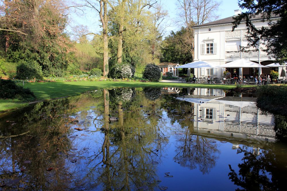 Englischer Garten / Park im Grünen in Basel