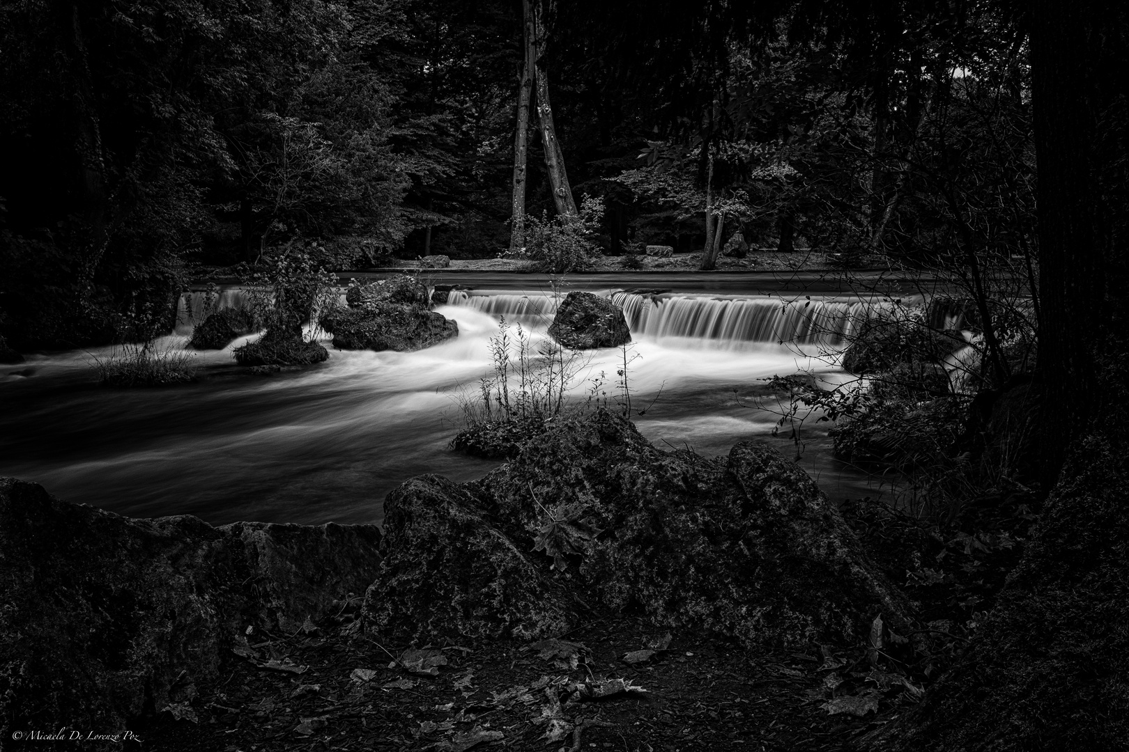 Englischer Garten, through my eyes (München)