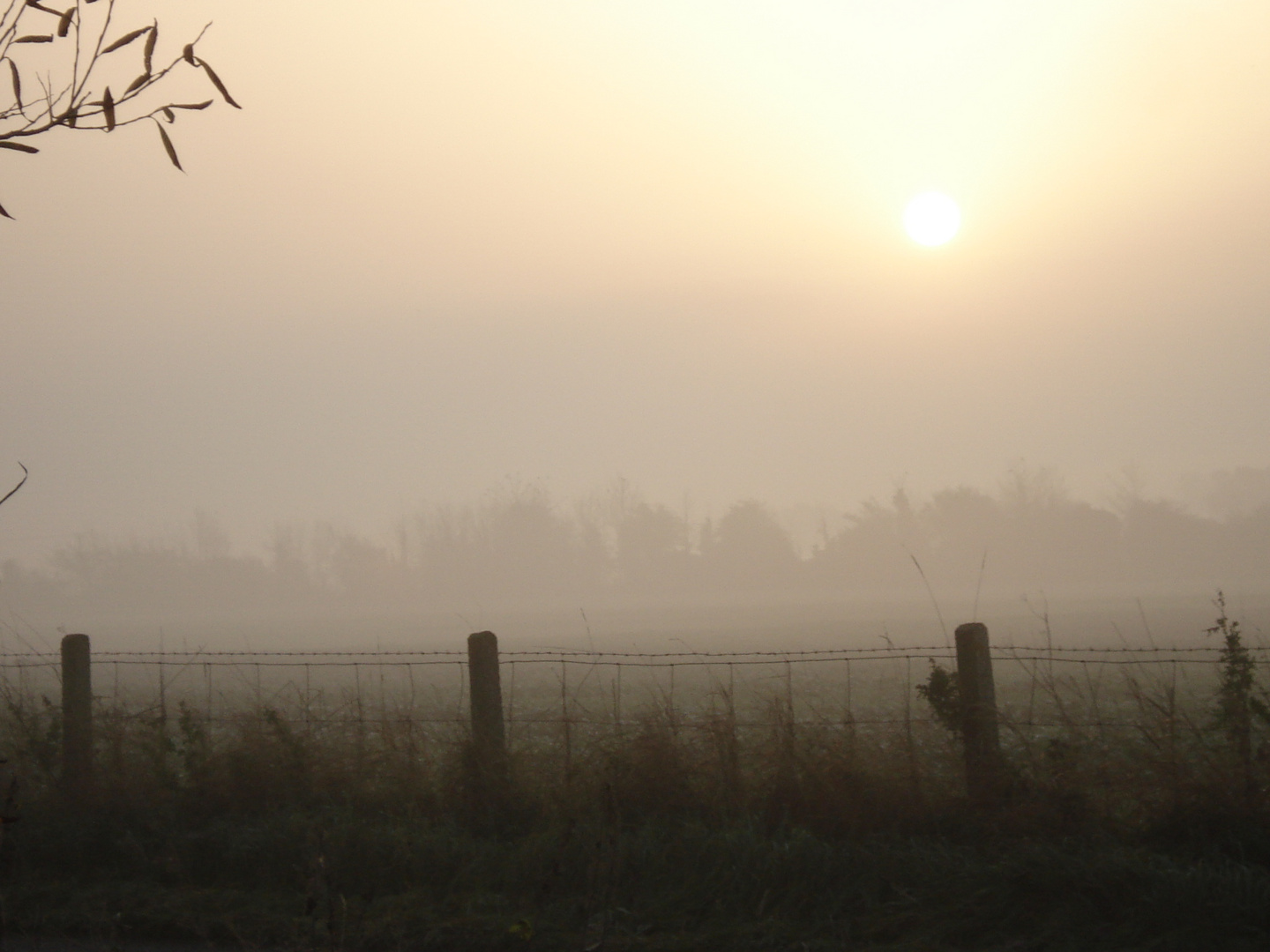 Englischer Sonnenaufgang