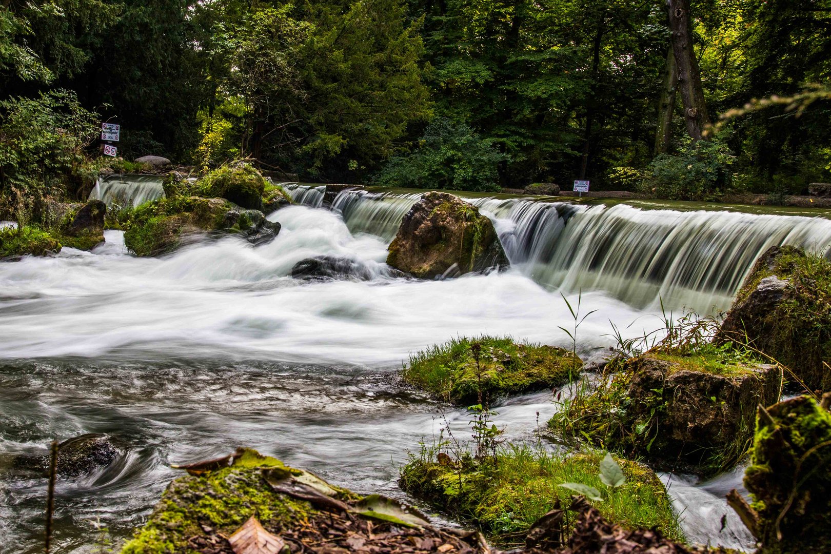 EnglischerGarten (3 von 1)