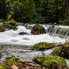 EnglischerGarten (3 von 1)