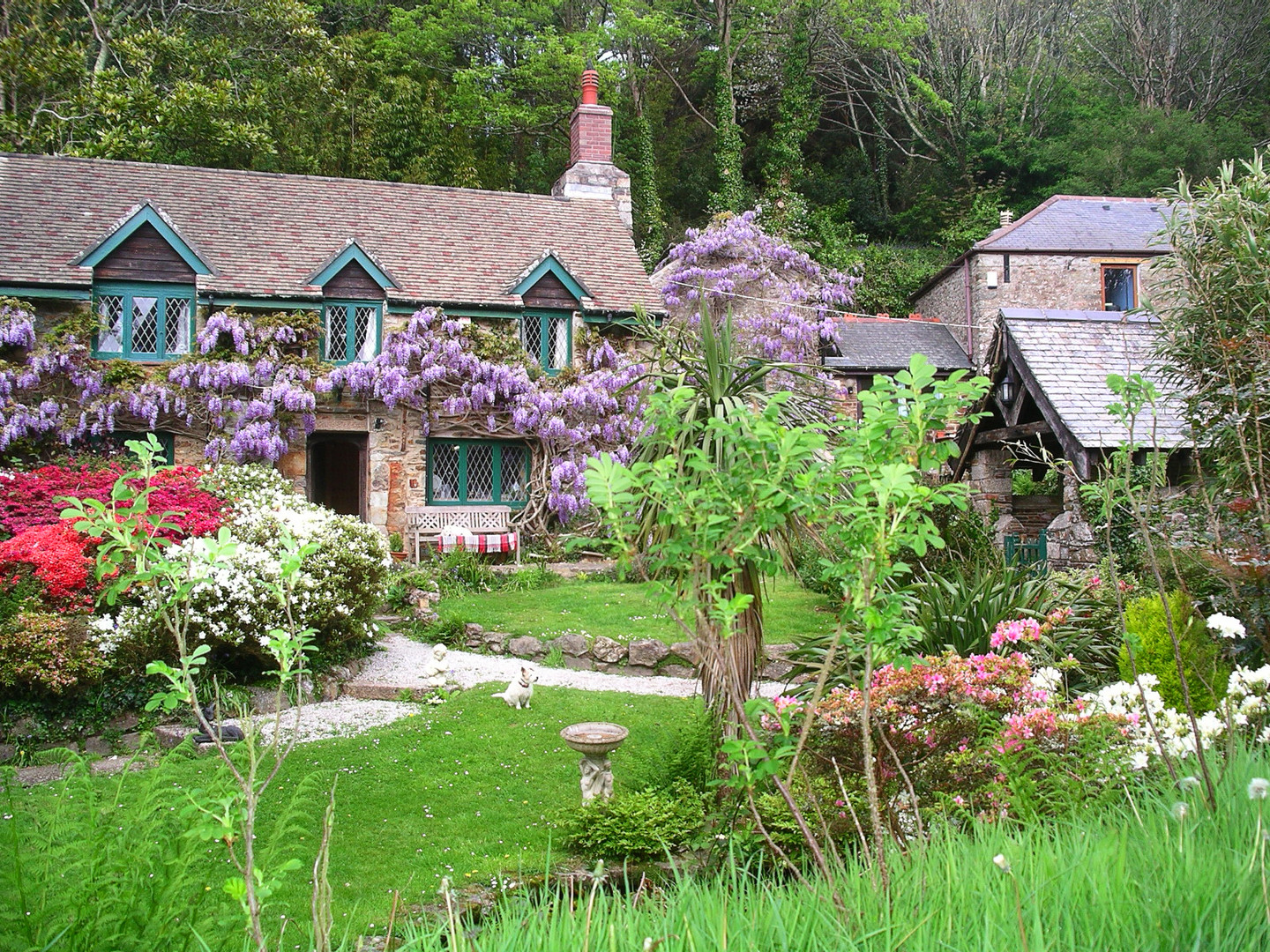 Englisches Landhaus mit einem Parson Russell Terrier auf der Wiese