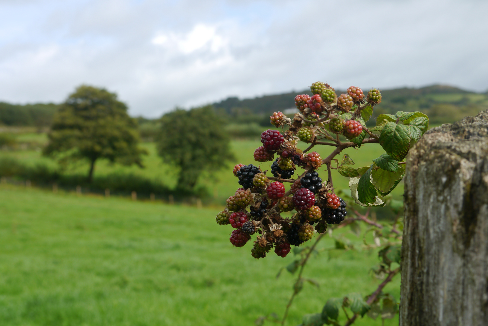 English Countryside