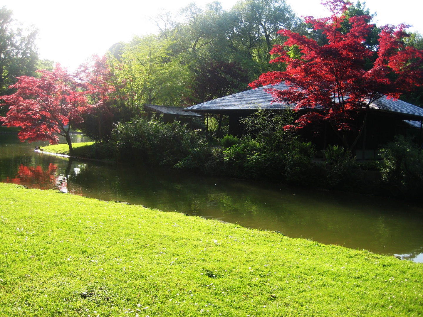 English garden, Germany