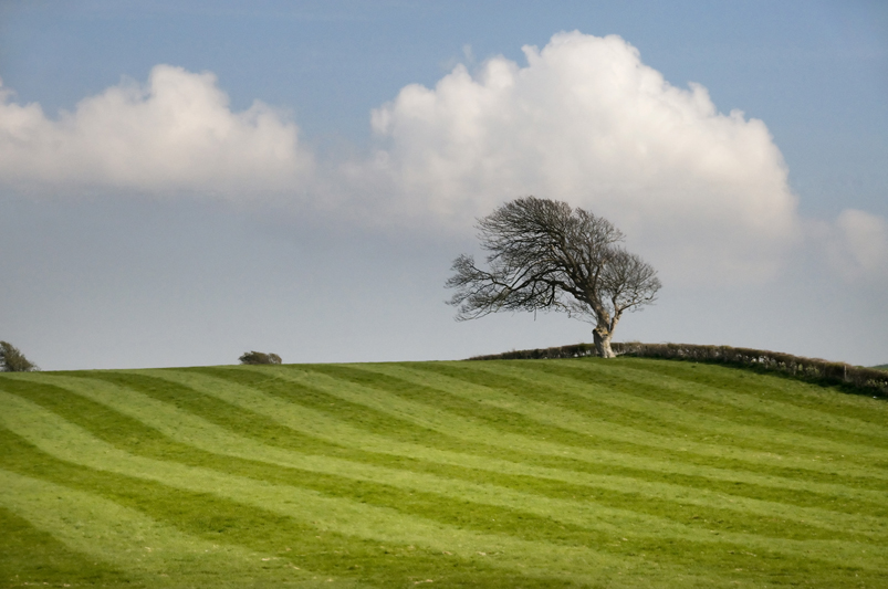 English Landscape