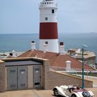 English Red of Gibraltar