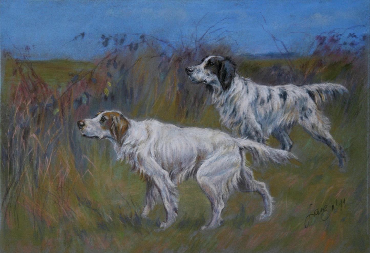 English setter