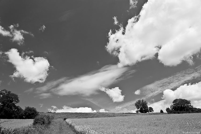 English Summer