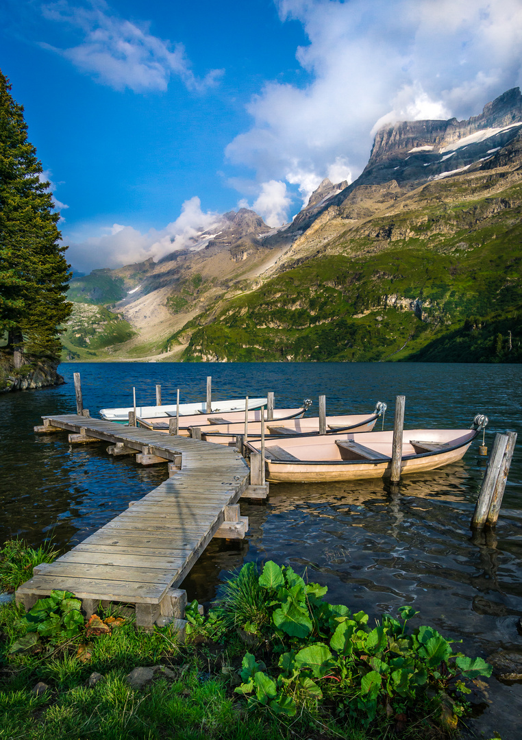 Engstlenalp im Sommer