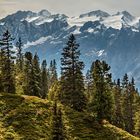 ENGSTLENPANORAMA der Berner Alpen