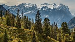 ENGSTLENPANORAMA der Berner Alpen