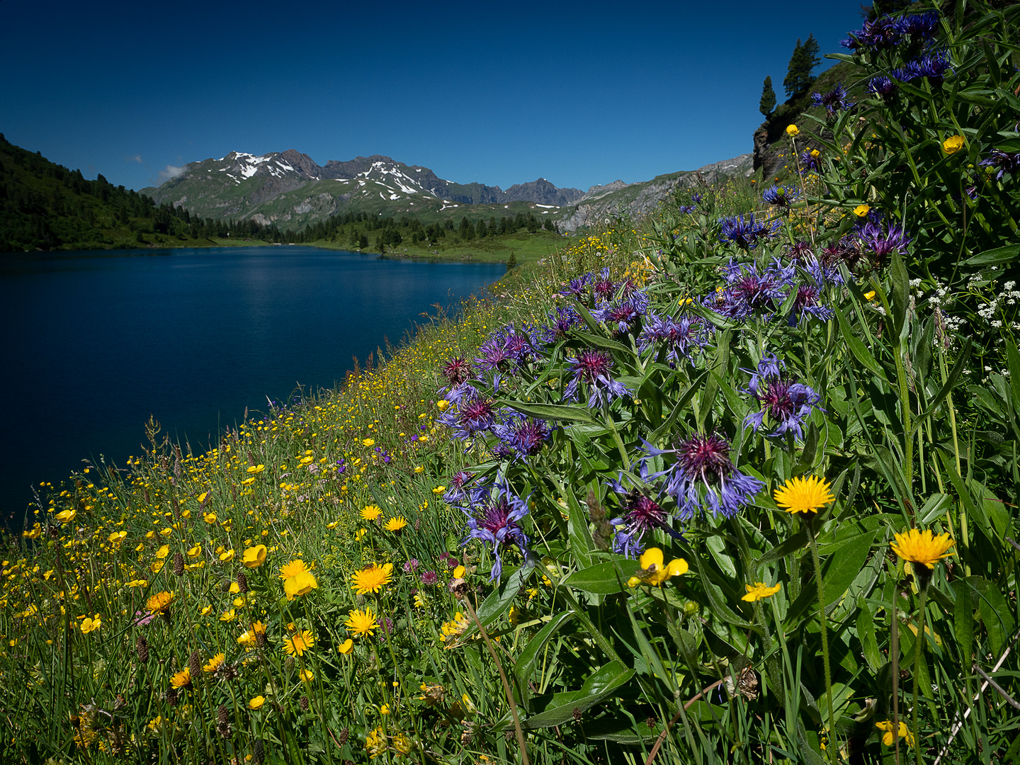 Engstlensee