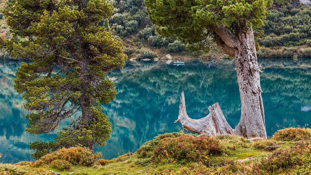 ENGSTLENSEE - In der Ruhe liegt die Kraft