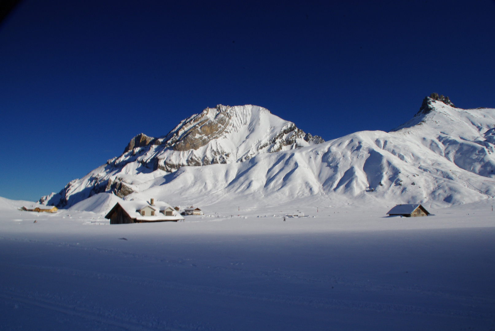 Engstligenalp / Adelboden (1960 m ü M)