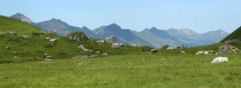 Engstligenalp mit Niesenkette