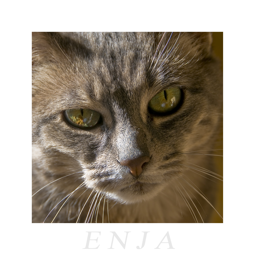 Enja