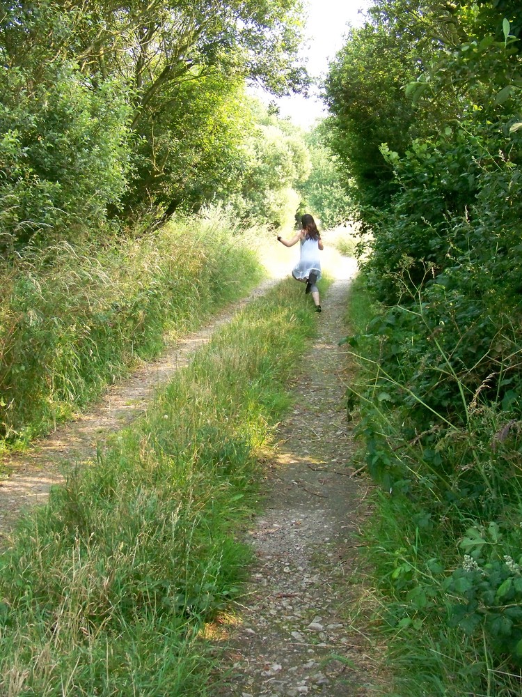 enjamber les obstacles qui nous barrent la route ...