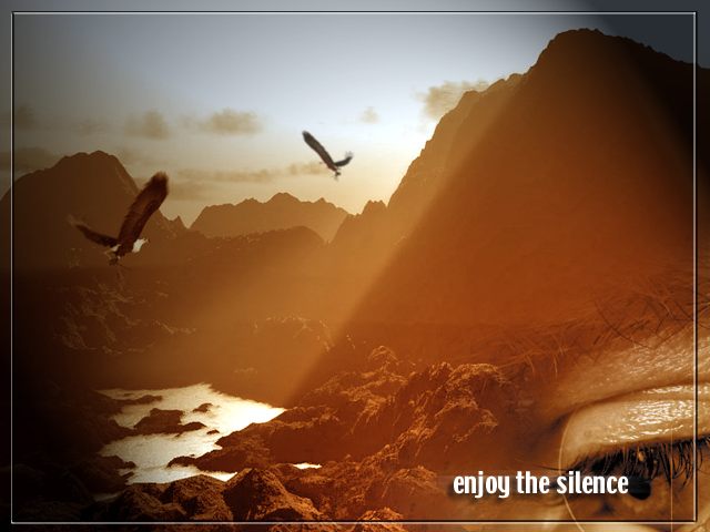 enjoy the silence