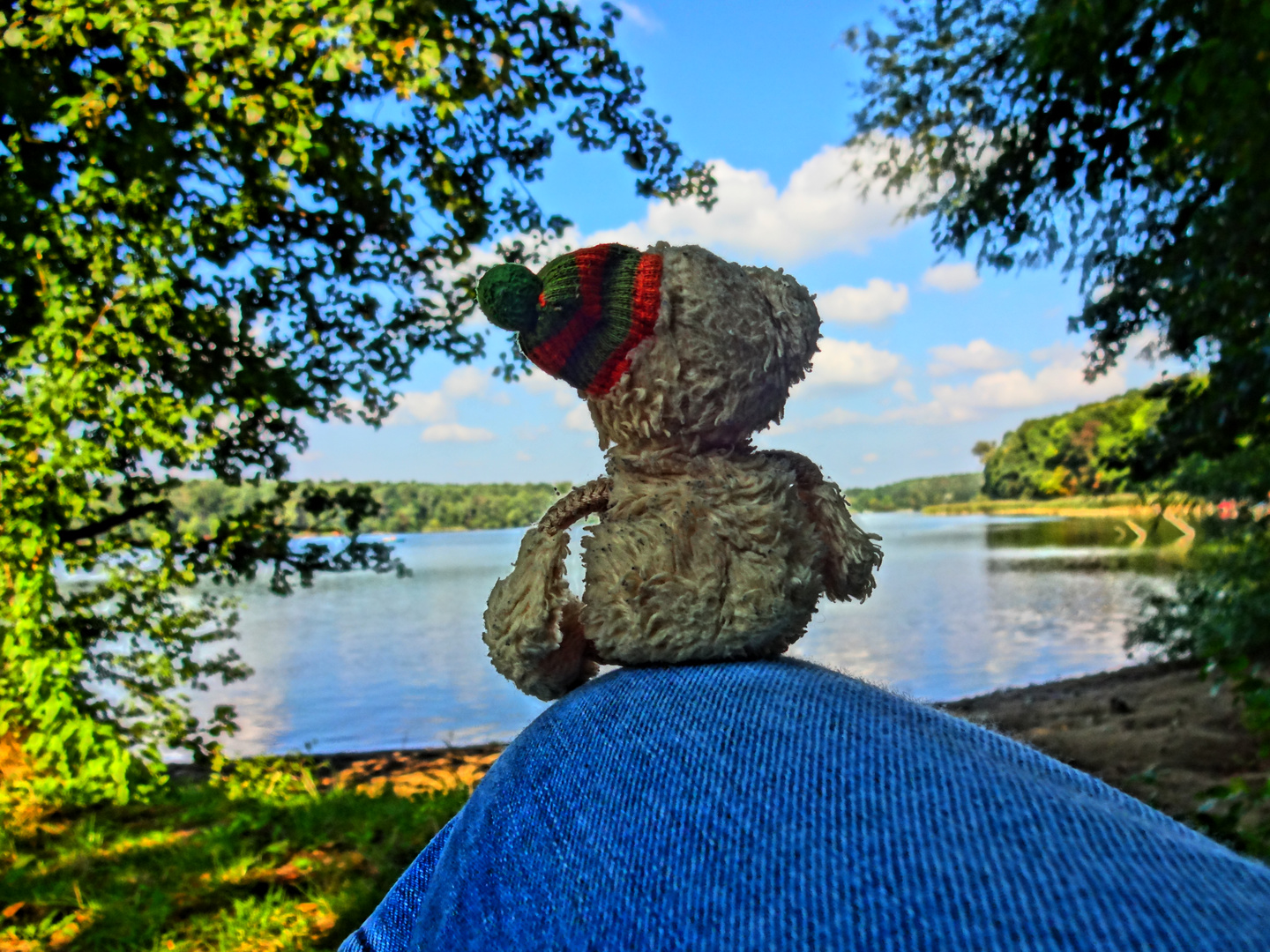 Enjoy the view at Strausberger See 2015