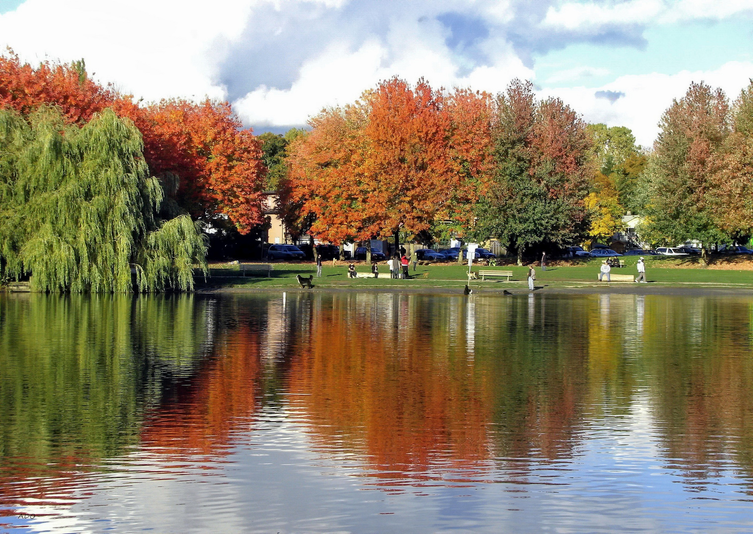 Enjoying Autumn